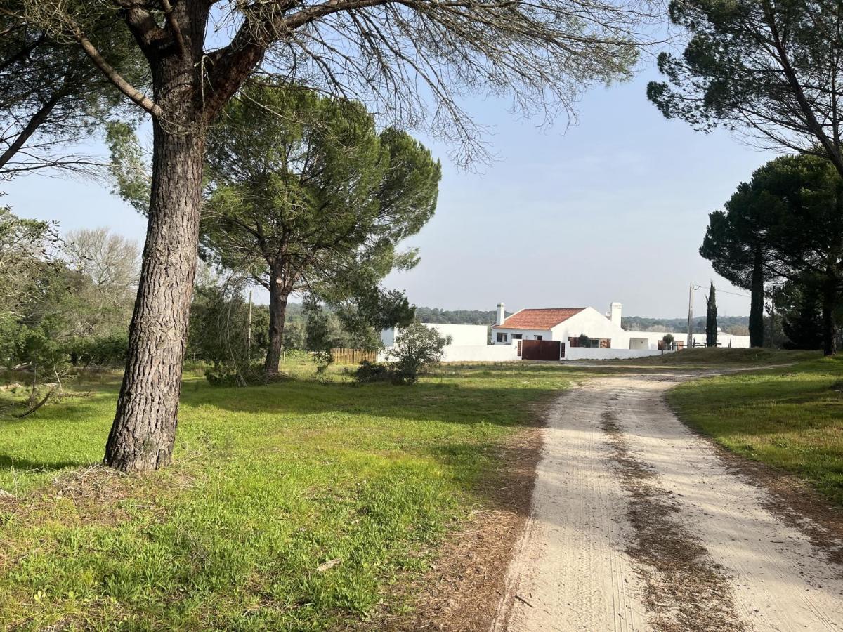 Fazenda Do Pomar By Trip2Portugal Villa Montemor-o-Novo Kültér fotó