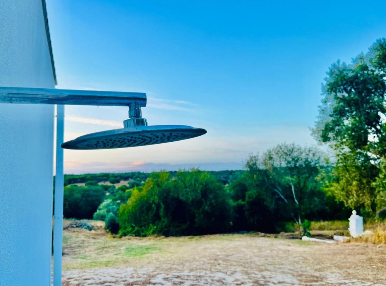 Fazenda Do Pomar By Trip2Portugal Villa Montemor-o-Novo Kültér fotó